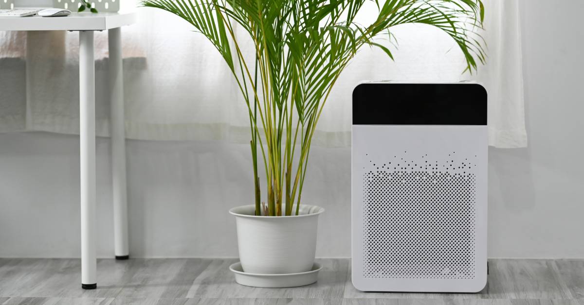 Best Air Purifier With Low Radiation