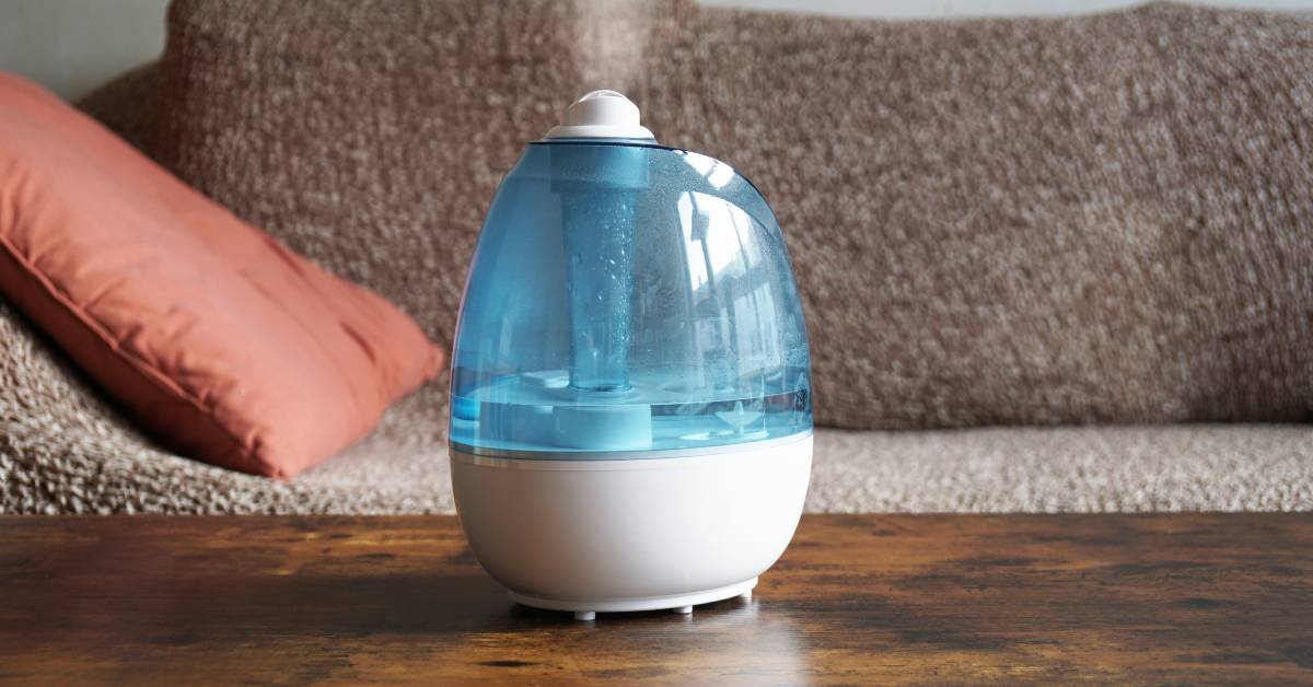 Best Hot Water Humidifier