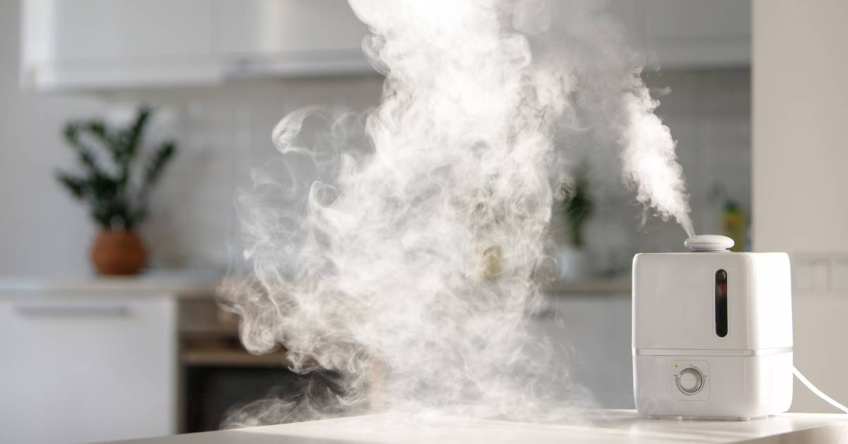 Best Humidifier For 2000 Square Feet