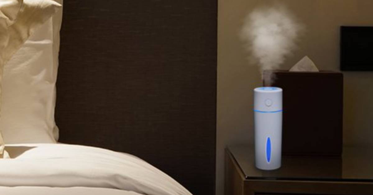 Best Humidifier For Accutane