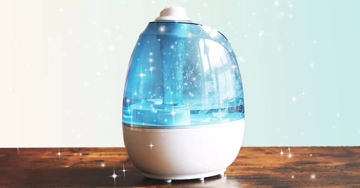 Best Humidifier With Washable Filter