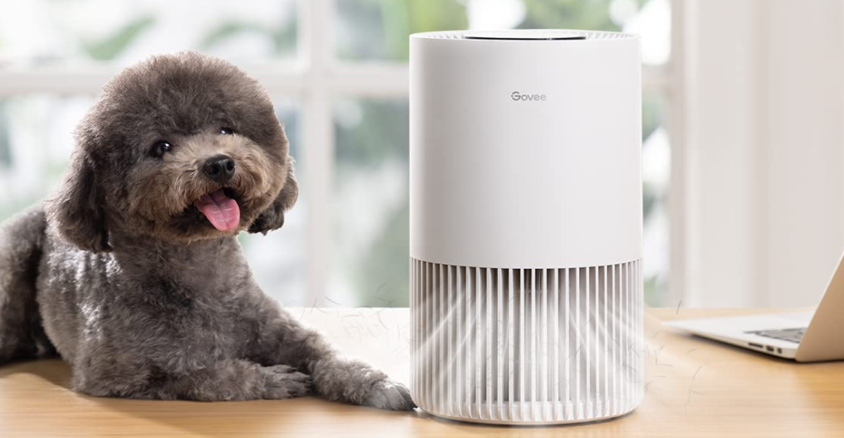 best smart wi-fi air purifiers